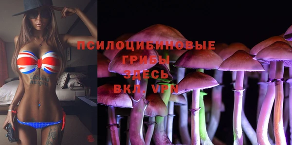 PSILOCYBIN Алзамай
