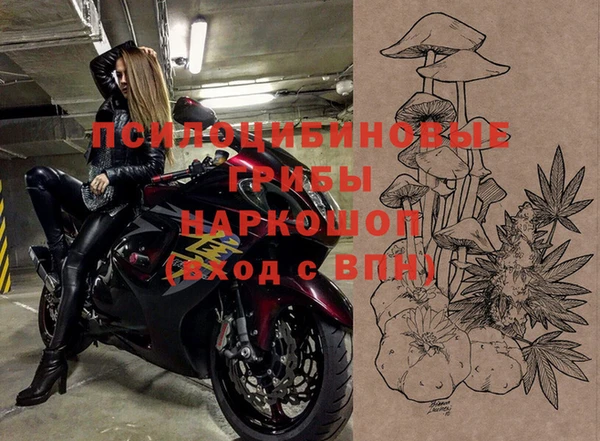 твердый Алексин