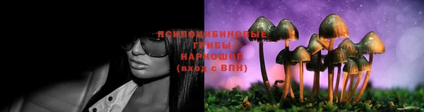 PSILOCYBIN Алзамай