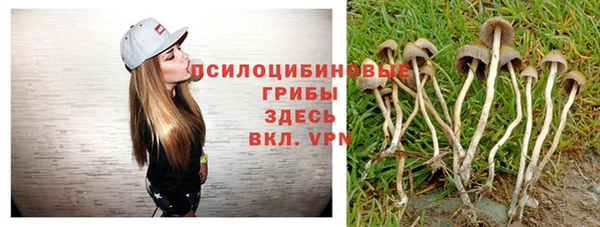 стаф Абаза