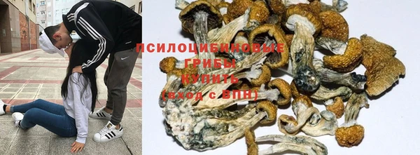 кокс Абдулино