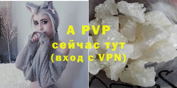 стаф Абаза