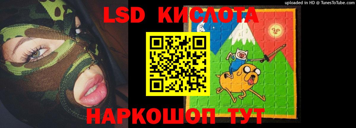 Кингисепп  LSD-25 экстази кислота  ОМГ ОМГ ссылка  ЛСД экстази ecstasy  Вход с VPN 