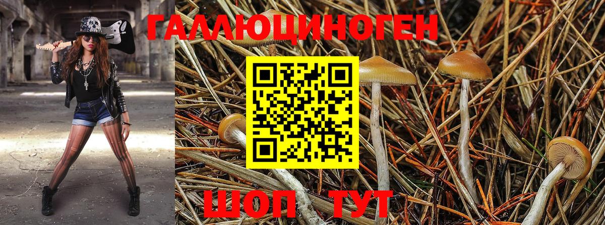 Галлюциногенные грибы GOLDEN TEACHER Кингисепп